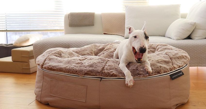 Calming Dog beds by ambient lounge. Australia’s Top Calming Dog Bed ...