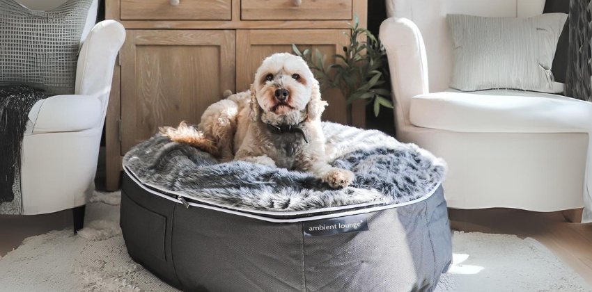 Medium Dog Bed 