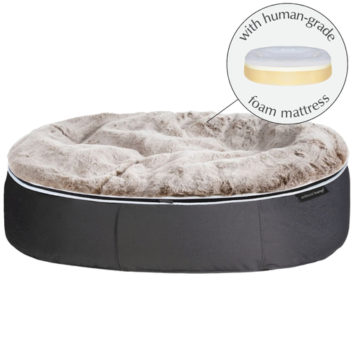 XXL Rebound Foam Mattress Dog Bed (Original + Cappuccino) *pre-order*